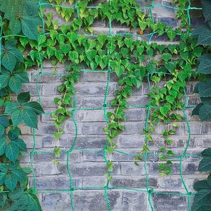ใช้ตาข่ายสำหรับมะเขือเทศถั่ว Cukes ถั่วหรือพืชใดๆที่ต้องการสนับสนุนพืชสนับสนุนการปีนเขาสุทธิ - Product Image 6