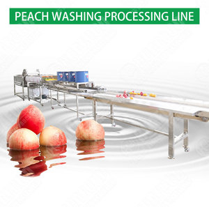 Obst Mango Orangen Zitronen Birne Apfel Pfirsich Waschen Trocknen Sortieren Verarbeitung Produktions linie In China