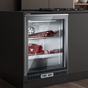 Đặc biệt cung cấp nhỏ gọn di động thịt bò bít tết khô lão hóa tủ lạnh cho Sushi cửa hàng thiết bị điện lạnh - Product Image 4