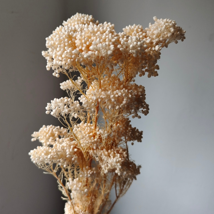 Champagne leggero sbiancato
