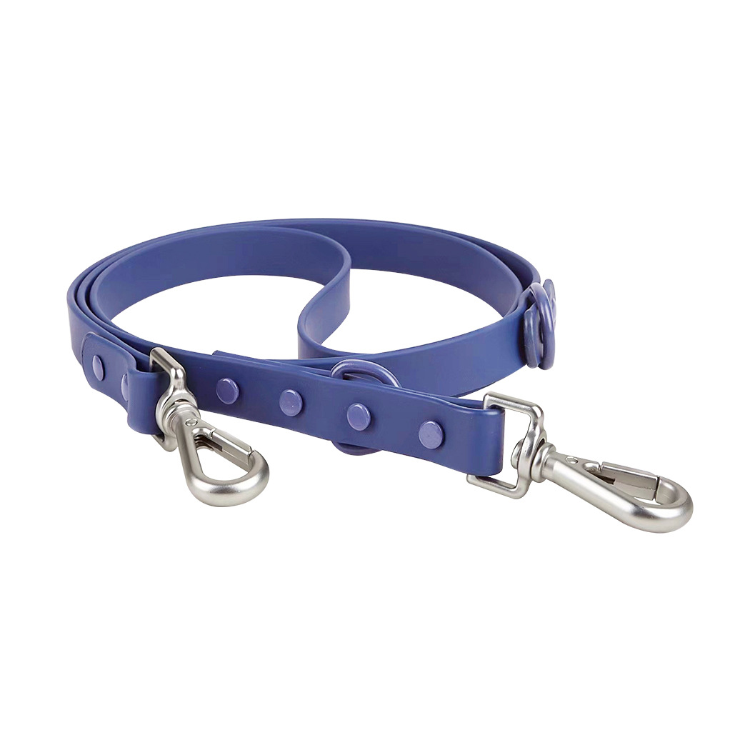 Laisse bleu foncé