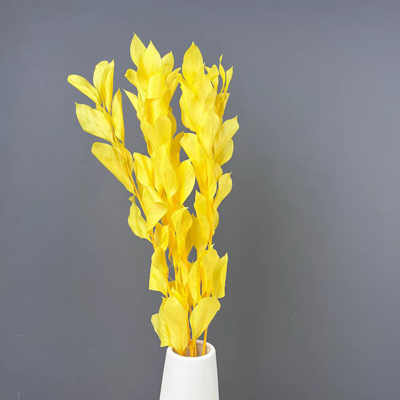 Jaune