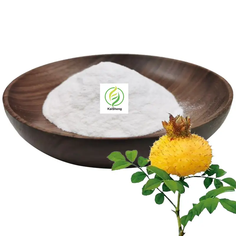 Groothandel Food Grade Rosa Roxburghii Fruit Extract Poeder Sod Superoxide Dismutase Poeder