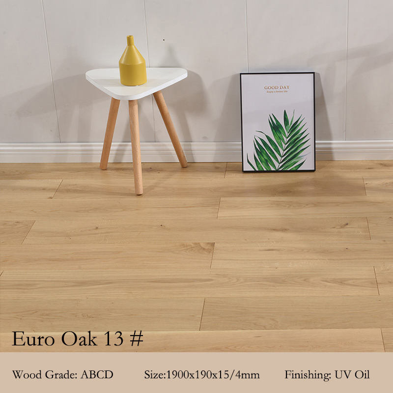 Euro roble 13 #