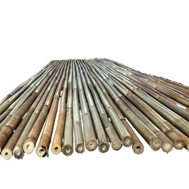 Bamboo Raw Materials Tonkin Bamboo, Bulk Bamboo Poles, Raw Bamboo Poles