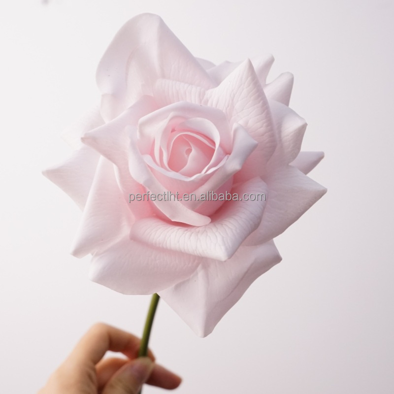 สีชมพู