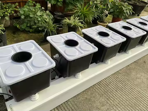 オランダのバケツ/バトバケツ使用水耕温室