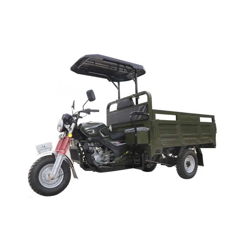 Nouveau style 200cc famille utilisé tricycle motorisé à essence grand tricycle cargo tricycle motorisé moto avec toit