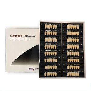 Denti Sintetici in Resina Acrilica a Due Strati Multicolore per Arcata Inferiore Anteriore all'Ingrosso - Product Image 5