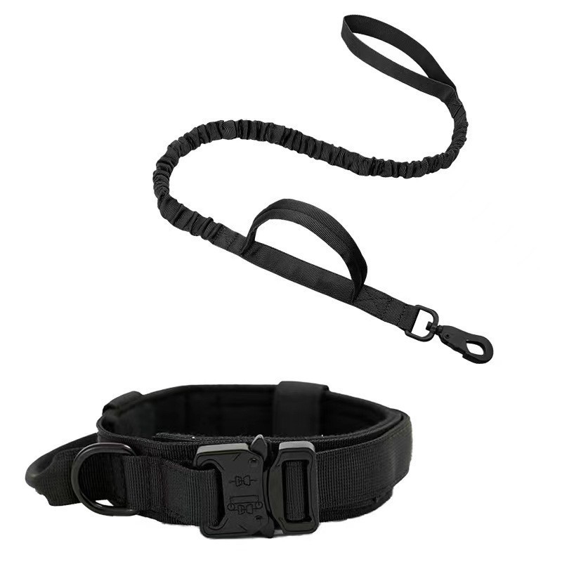 ZH001 Collier et laisse noirs