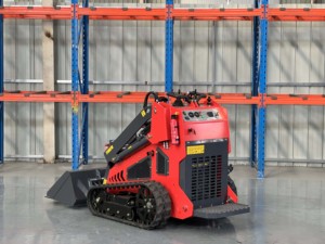 Miễn phí vận chuyển earthmoving máy móc Mini Skid chỉ đạo 3 Bơm 3 van mini loader Skid chỉ đạo Bộ nạp - Product Image 5