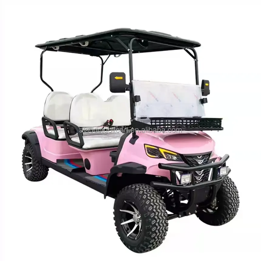 Chất lượng cao Off-Road Câu lạc bộ 48V giá rẻ Xe golf điện 2 chỗ ngồi Golf Buggy giá