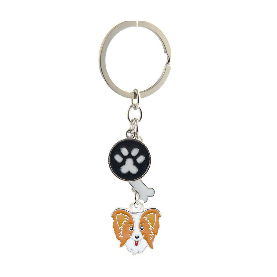13 chiens papillons