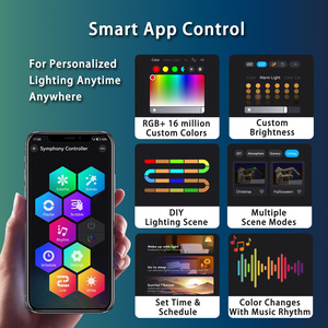 Özelleştirilmiş APP akıllı kontrol 24V RGB/RGBW konut ticari dış aydınlatma kalıcı tatil LED noktası Soffit ışıkları - Product Image 4