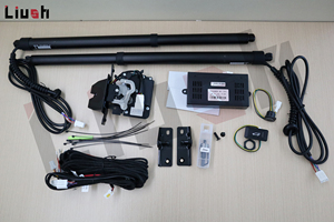 Fabrika fiyat el-ücretsiz Liush elektrik güç bagaj kapağı lifti BYD şarkı için L dm-i 2024 + oto araba bagaj açacağı ile ayak tekme sensörü - Product Image 2
