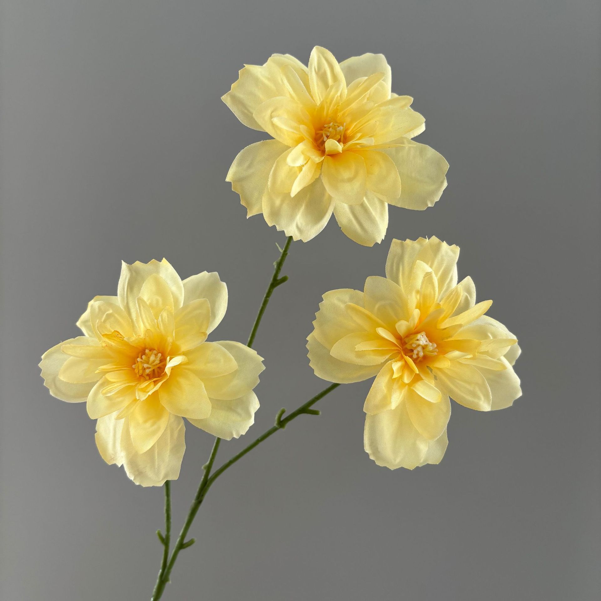 Fleur du bonheur