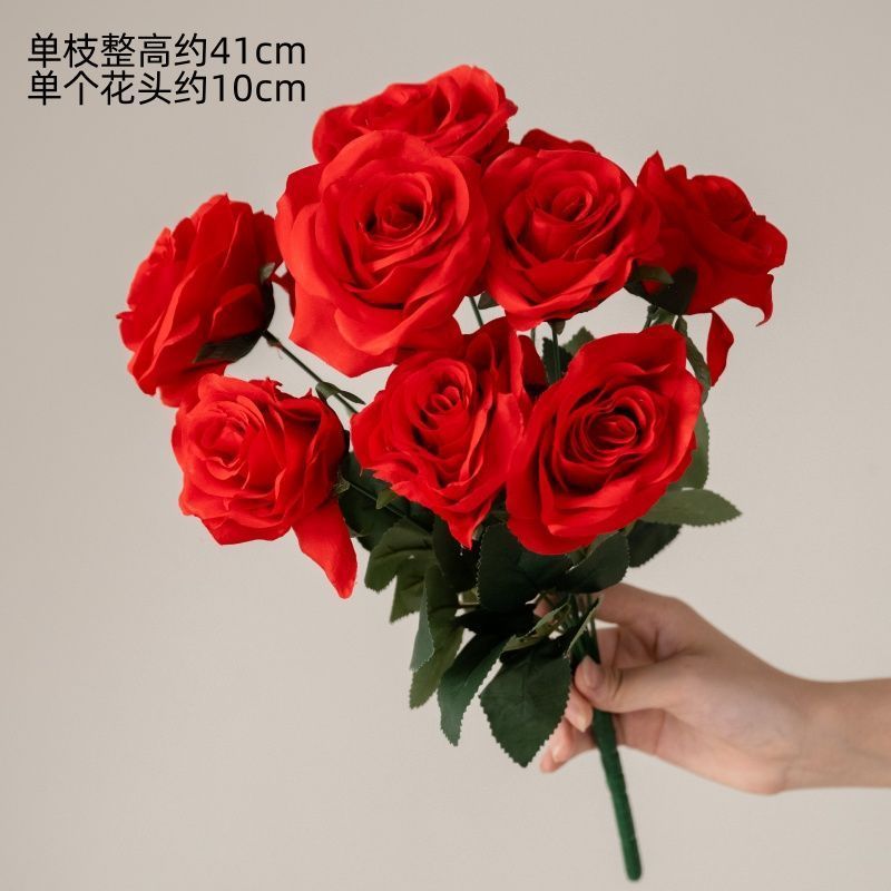 10 roses rouges