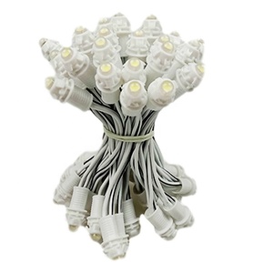Factory Cheap Price 9mm 12mm Waterproof Outside Decorate <strong>LED</strong> <strong>String</strong> <strong>Light</strong> Single Color PC <strong>Pixel</strong> <strong>Led</strong> Module - Product Image 4