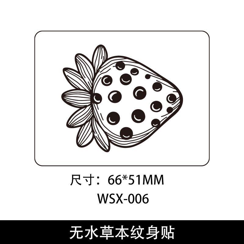 WS-006