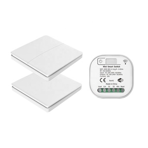 SIXWGH 16A Smart Home Wall Switch WIFI telecomando Timer interruttore Tuya App compatibilità Google Home Alexa nessuna batteria richiesta - Product Image 1