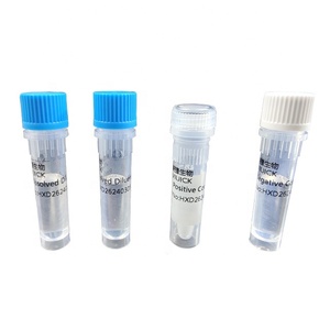 Equine Infectious <strong>Anemia</strong> Virus Detection Kit Realtime PCR Rtpcr Kit Lyophilized Equine PCR <strong>test</strong> Kit Manufacturer - Product Image 5