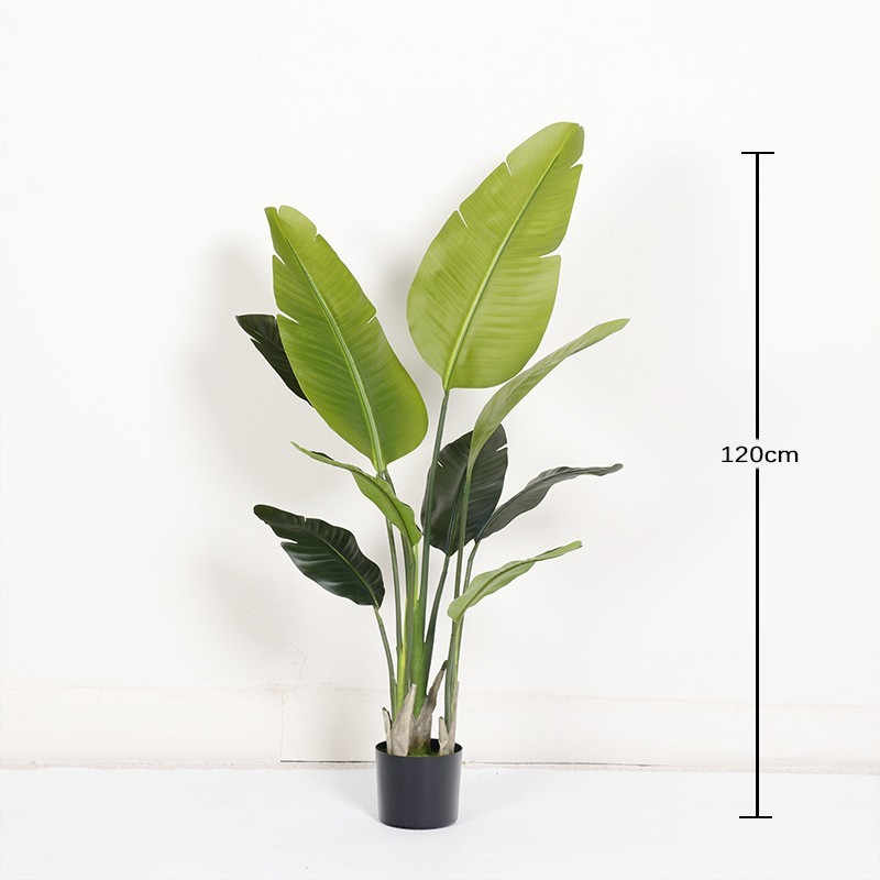 Green Compact 120cm