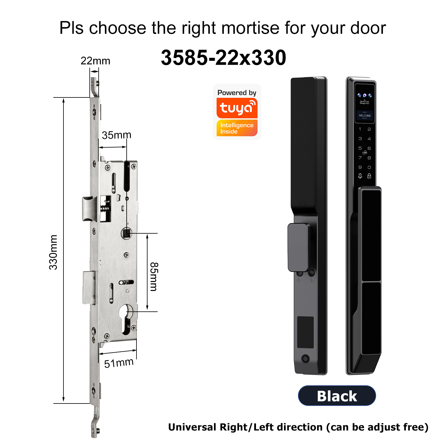 Z5 with 3585 Swing Multi-point Mortise(22x330mm)
