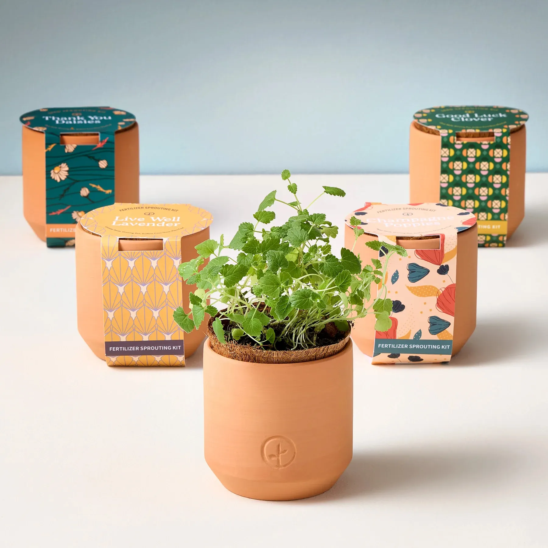 Kit de hierbas de fertilizante hidropónico personalizado al por mayor, tarro de jardín, maceta de cerámica, Kits hidropónicos, Kits de cultivo