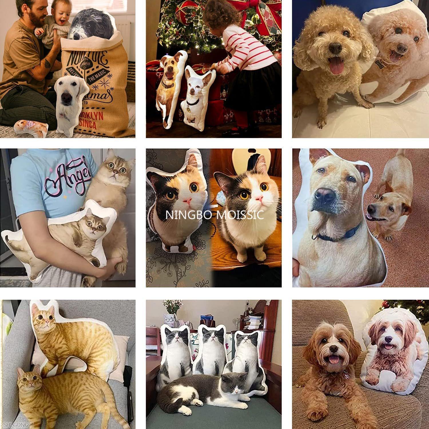 Adapté aux besoins du client avec des images