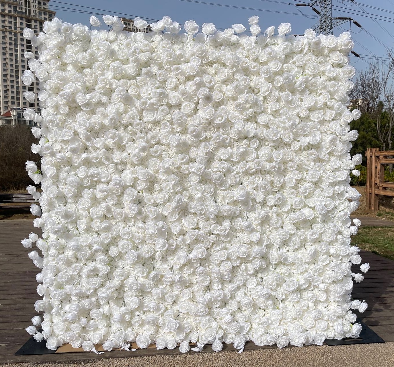 rose flower wall