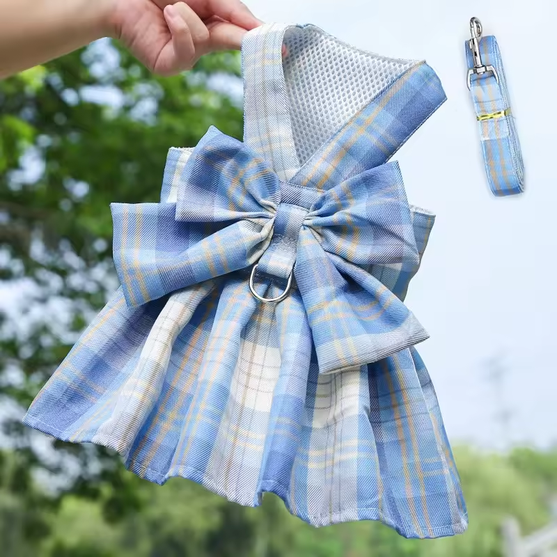 Dress sky blue