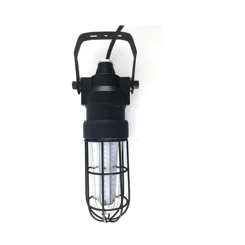 Classe I Division 2 haut standard led anti-déflagrant portable lumière 10w 20w 30w pour l'utilisation de la mine de charbon d'emplacement dangereux