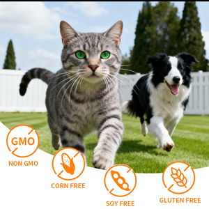 Natuurlijke Melatonine Vloeistof voor Honden en Katten, Kalmerende Gezondheid met <span class=keywords><strong>Ashwagandha</strong></span>, Valeriaanwortel, Plantaardige Glycerine, Supplement Druppels voor Huisdieren - Product Image 4