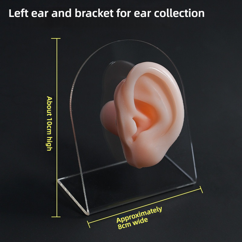 Oreille gauche + support