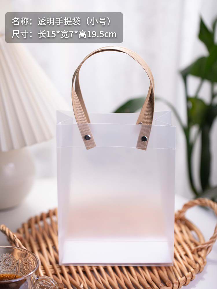 Bolso transparente-tamaño pequeño-5 piezas