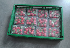 Contenedores de cajas plegables de plástico PP reciclables convenientes de 600x400x120mm, caja sólida de fruta plegable de malla resistente apilable - Product Image 4