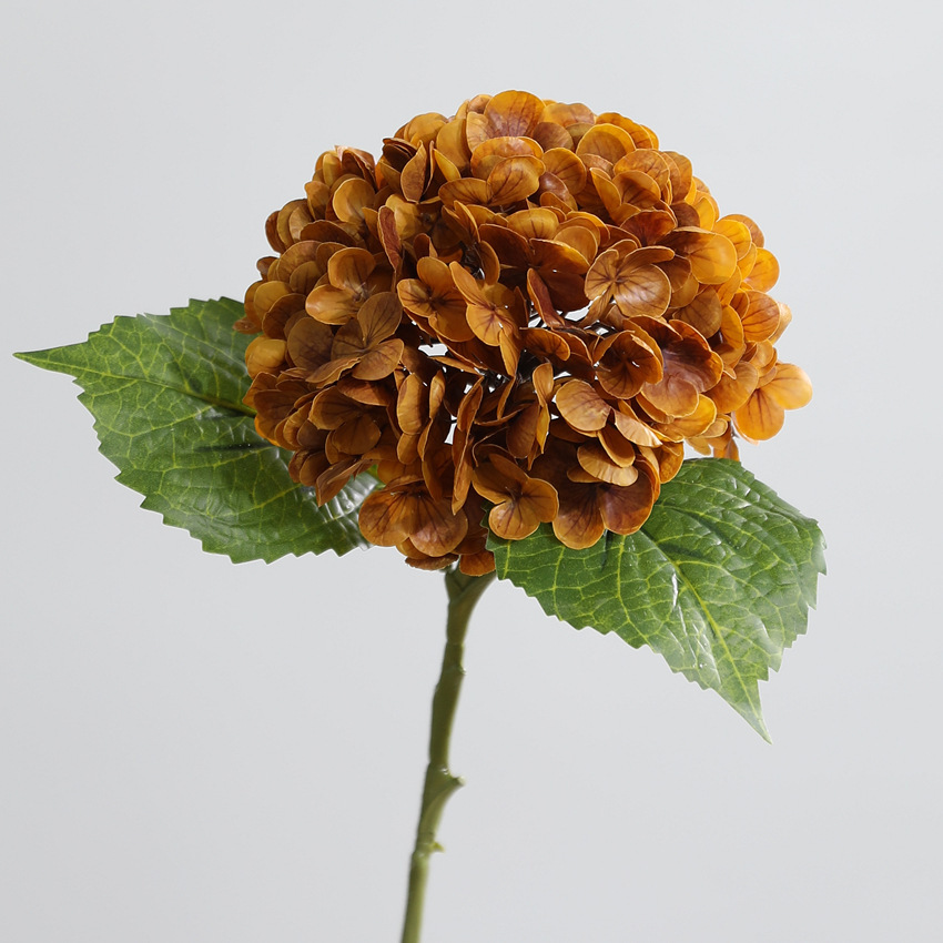 arancione scuro