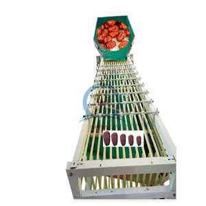 オニオングレーダーとサイズ選別機リンゴクルミ黒コショウフルーツ & 野菜グレーディング機 - Product Image 1