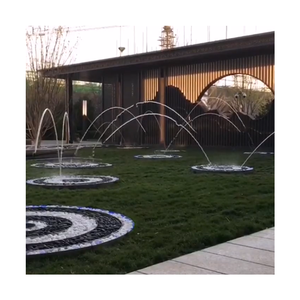 Stainless Steel Leaping Jumping Jet Fountain with DMX Control Dynamic Water Feature - Product Image 1