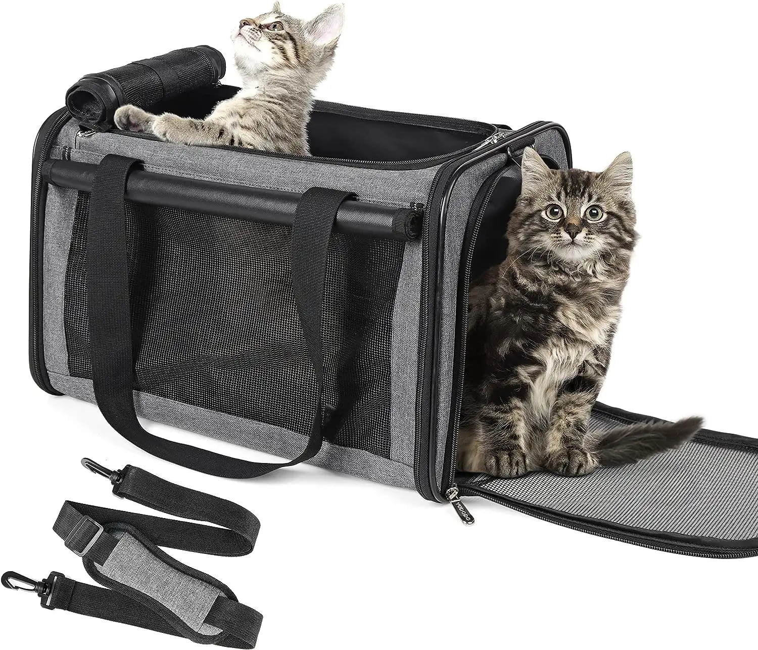 Yeni fabrika genişletilebilir şeffaf kabarcık uzay kapsül Pet kedi taşıyıcı sırt çantası özel yumuşak siyah baskı kedi çantası kedi köpek seyahat