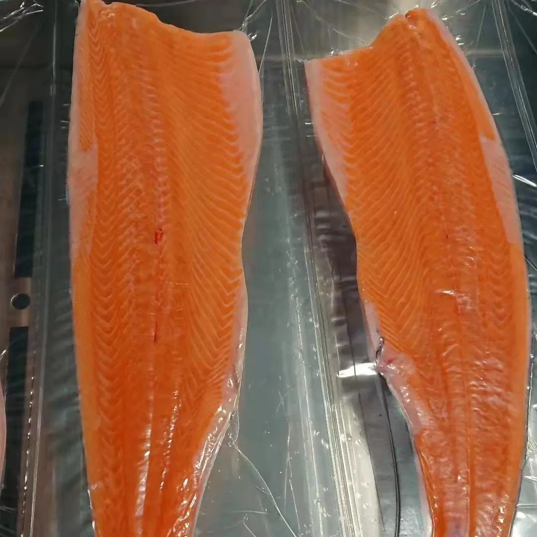 Salmão Atlântico congelado premium qualidade coho salmão filé