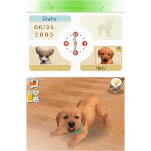 DS NDS 2DS abd versiyonu R4 kart olmadan Ds oyunları kartuşu için Nintendogs Lab & Friends - Product Image 3