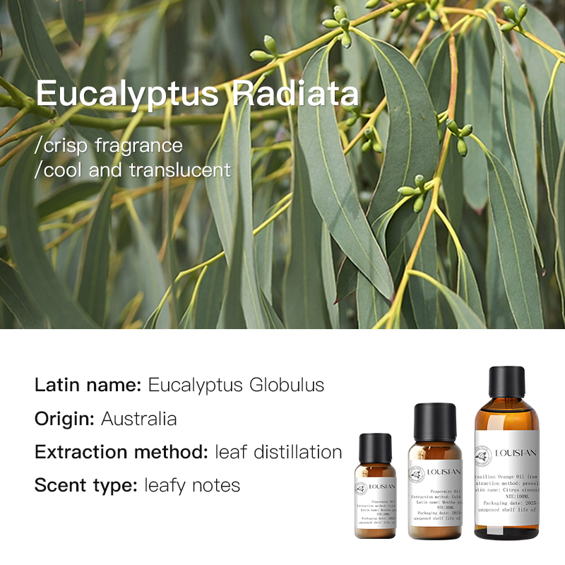 Eucalyptus (Australie) 30ml