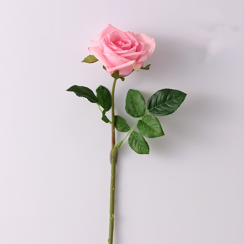 4.Rosa claro