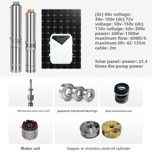 Agrotime 48V Nam Châm Vĩnh Cửu Không Chổi Than Hiệu Quả Cao Hộ Gia Đình Thép Không Gỉ Sâu Cũng Bơm-DC Năng Lượng Mặt Trời Bơm Chìm - Product Image 4