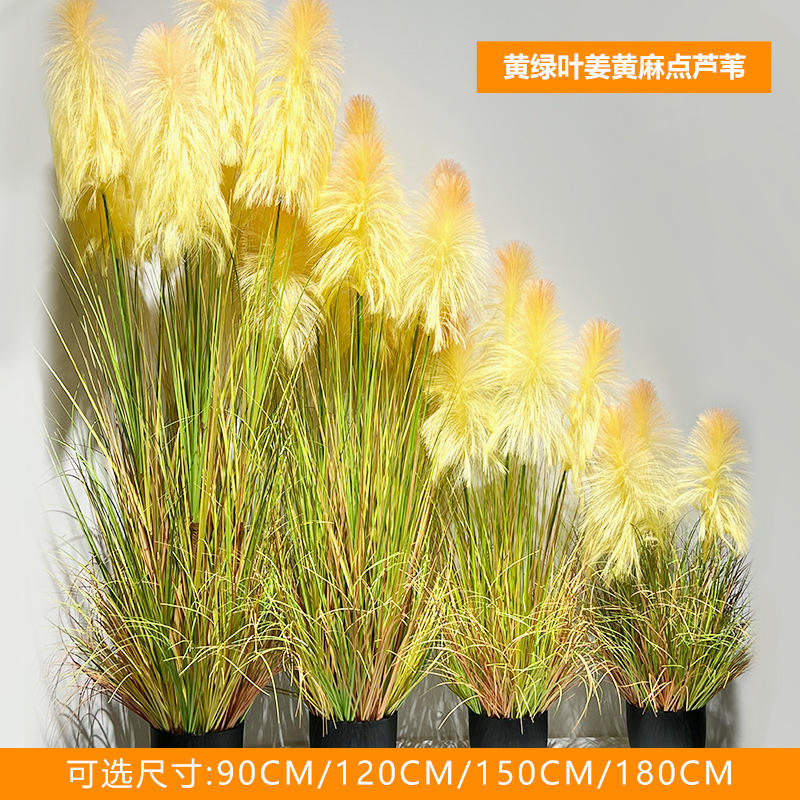 Feuilles jaune-vert, curcuma et roseaux