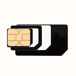 4G sim卡兼容宠物全球定位系统、G51、TK909、RQ31跟踪器、亚洲猫和狗GSM定位项圈、360天服务 - Product Image 1