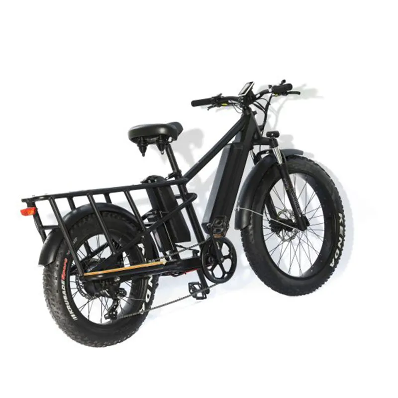 Elektrische Mountainbike 250 Met Motor Heren Fiets City Cycling Bicicleta 4.0 Dikke Band Big Wheel Ebike