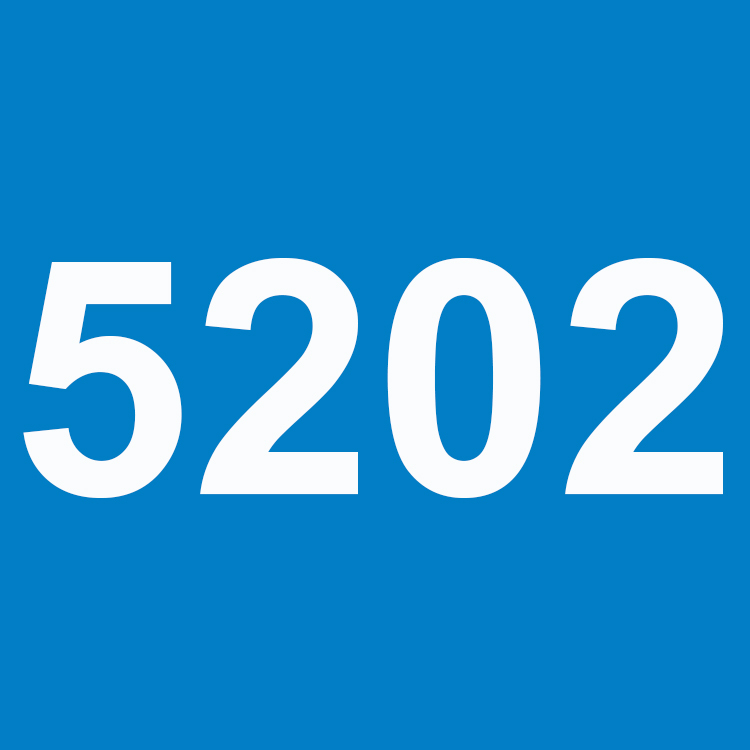 5202