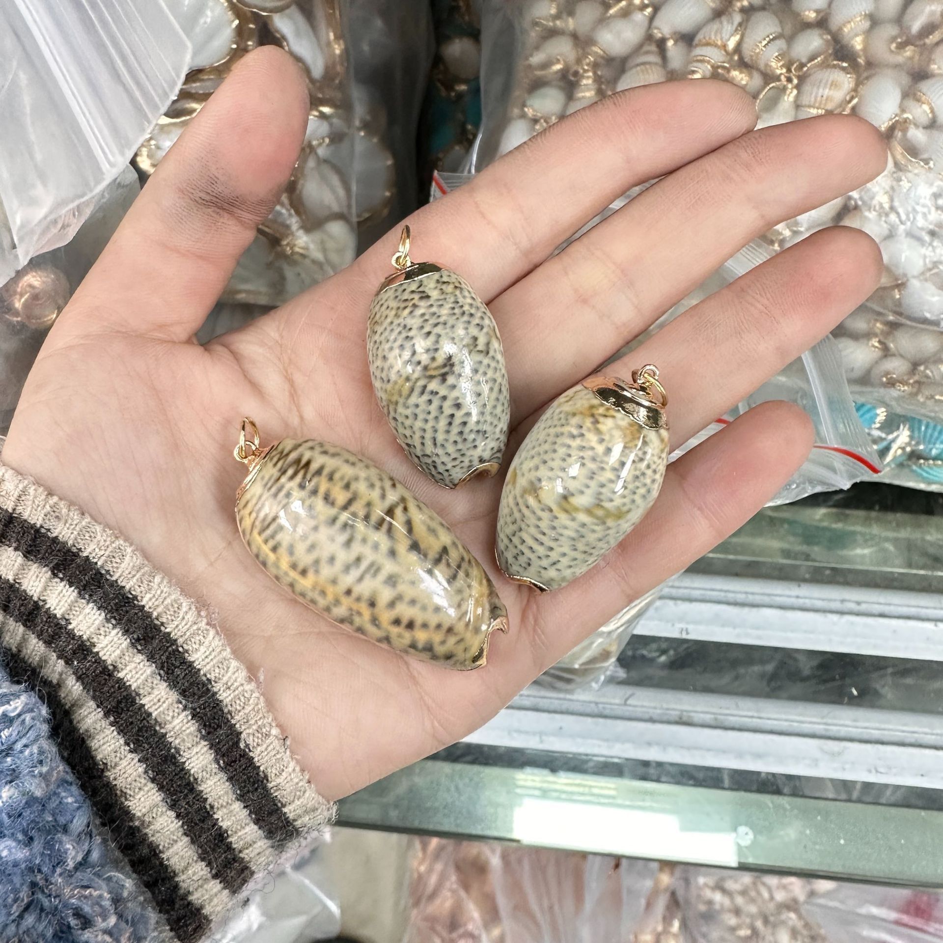 8 lumache leopardate celadon